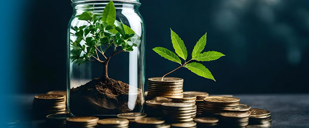 Cannabis-Business-Loans